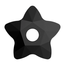 Star Flower Sew On Stone - JET